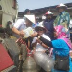 Dari Lahan Rob Jadi Sawah Produktif, Teknologi BRIN Bangkitkan Pesisir Batang